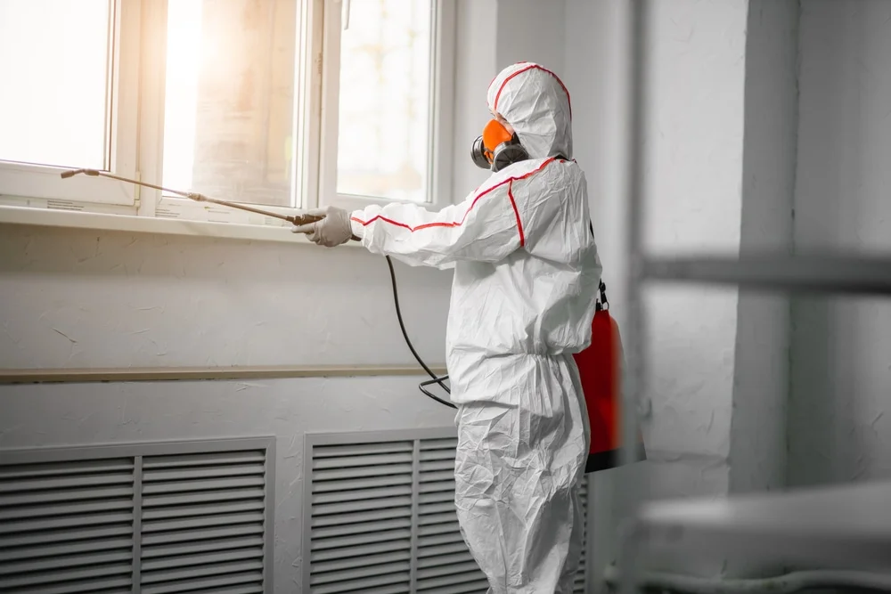 Professional mold remediation services in Madison, NH